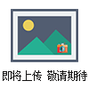 DTM-491數(shù)顯壓力式溫度計(jì)